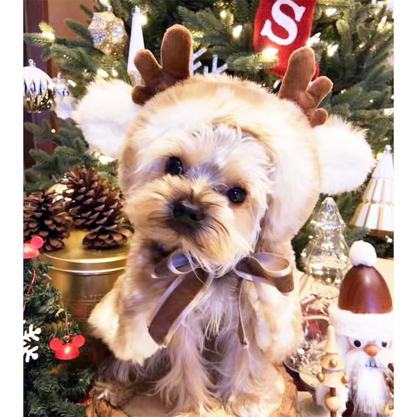 Reindeer Costume Etsy