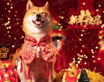 Custom New Year Bandana for Dogs and Cats, Chinese Spring Festival Red Cape for Puppies Large Dogs and Cats, Pets Lover Gift Lunar New Year