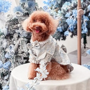 Customizable Wedding Dog Costume, Blue Flower Tuxedo with Shirt and Bow Tie for Dogs and Cats, Birthday Outfit Prince Costume Pet Clothes