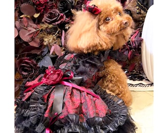 May include: A brown poodle wearing a black and red rose-patterned dress with black lace ruffles, a dark red satin ribbon bow at the waist, and a matching hair accessory. The dress features a layered skirt with black tulle and fabric trim.