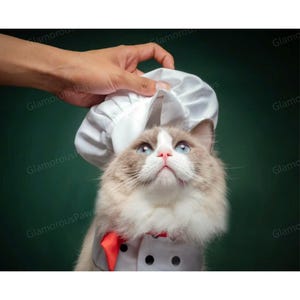 Cat Chef Bandana Bib with Chef Hat, Dog Chef Costume Pet Halloween Outfit, Cook Uniform for Cats and Dogs, Funny Costume Pet Cosplay Clothes image 3