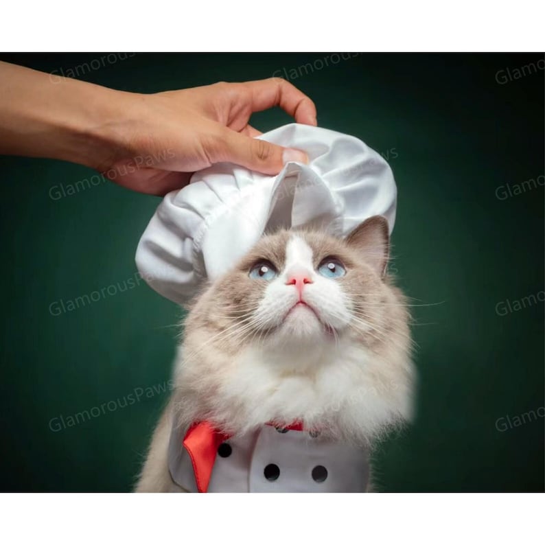 Cat Chef Bandana Bib with Chef Hat, Dog Chef Costume Pet Halloween Outfit, Cook Uniform for Cats and Dogs, Funny Costume Pet Cosplay Clothes image 3