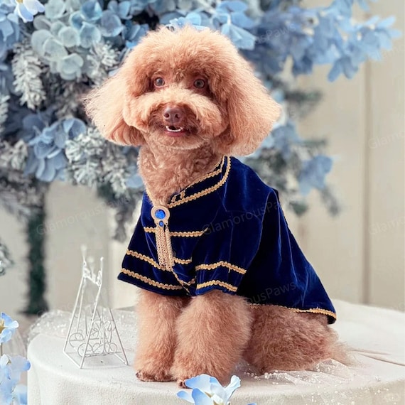 Abrigo Ropa Para Perra Grande Un Abrigo De Perros Resistente Al