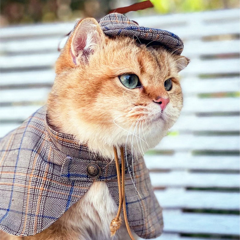 Cat Detective Costume Halloween, Sherlock Holmes Cape & Deerstalker Hat for Cats and Dogs, Pet Detective Outfit Funny Costume Party Dress Up image 3