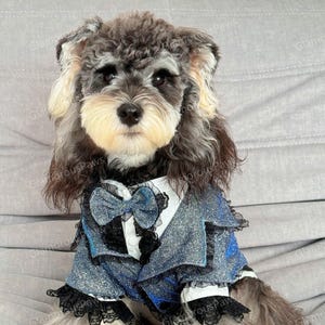 Customizable Wedding Dog Costume, Sparkly Blue Tuxedo with Shirt and Bow Tie for Dogs and Cats, Birthday Outfit Prince Costume Pet Clothes