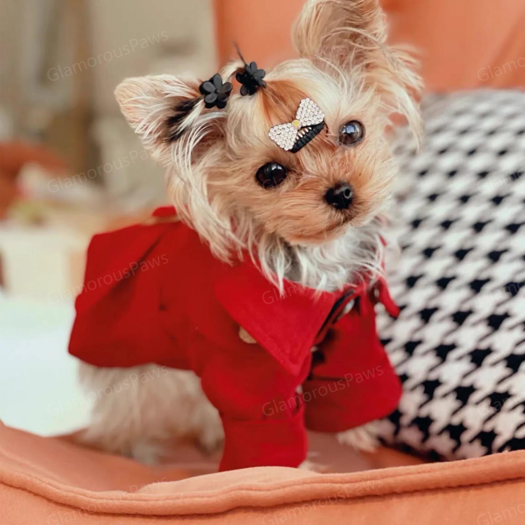 Red Trench Coat for Dogs and Cats, Classic Khaki Trench Coat Pet Fall Winter Clothes Custom Size, Luxury Dog Jacket, Vintage Dog Formal Suit
