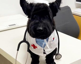 Doctor Dog Costume, Halloween Nurse Uniform for Cats & Large Dogs, Nurse Hat with Ears Hole, Nurse Dog Bandana Bib, Vet Outfit Cute Costume