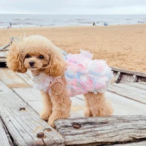 Dog Flower Girl Dress Pink Blossom Gown, Wedding Dog Dress Bridal Costume, Fancy Birthday Dress for Cats and Dogs, Pet Couture Custom Size