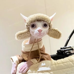 Brown Winter Sherpa Fleece Aviator Hat with Ear Holes for Sphynx Cats Devon Rex Cats, Outdoor Hat for Hairless Cats, Pets Travel Hiking Hat