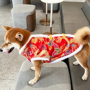 May include: A Shiba Inu dog wearing a red and gold Chinese-style dog coat with a white fur trim. The coat has a dragon design and gold buttons.