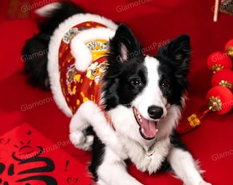 Lunar New Year Outfit for Large Dogs, Lion Dance Red Sleeveless Tang Suit Customizable