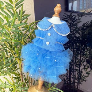 Customizable Wedding Dog Dress, Sky Blue Tweed Tulle Dress for Large Dogs and Cats, Princess Costume Dog Birthday Outfit Pets Clothes