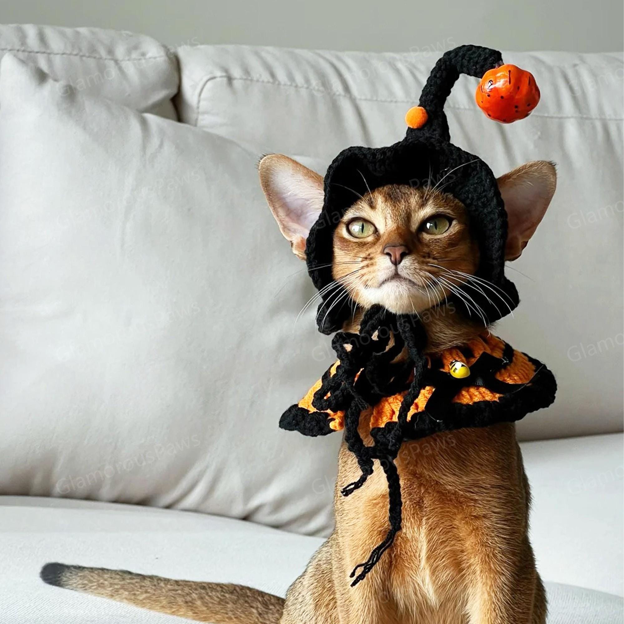Halloween Party Cats Costume, Pumpkin Hat With Orange Bandana Bib