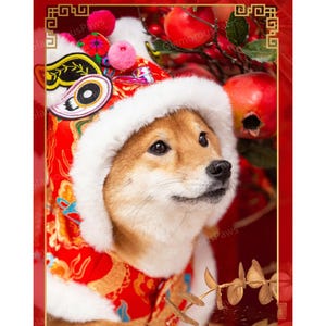 犬と猫用のカスタム新年コスチュームフード付きコート、中国の春節の衣装ペット冬服、大型犬用ジャケットレッドセーター