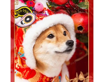 Lunar New Year Outfit for Large Dogs, Chinese Dancing Tiger Red Hoodie Custom Size