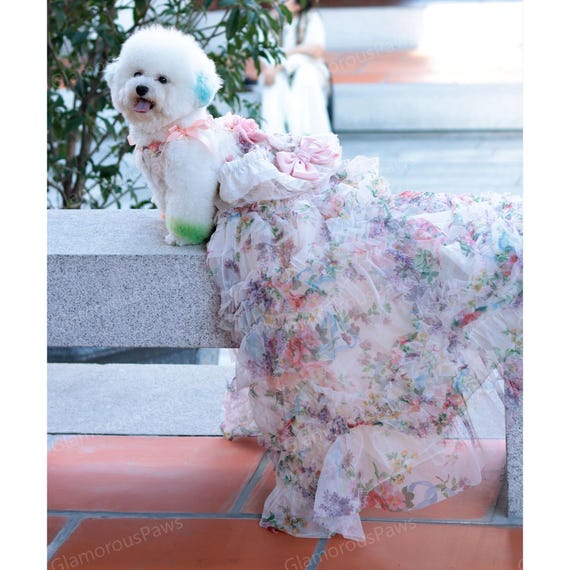 large dog birthday dress Birthday Dog Dress main image 1