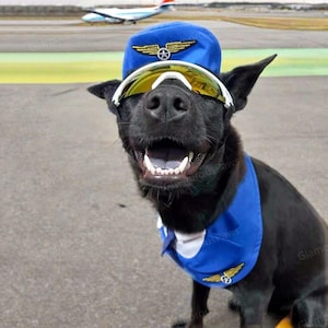 Blue Pilot Dog Bandana, Halloween Pilot Pet Costume, Air Force Airline Captain Uniform for Cats and Dogs, Pet Cosplay Costume Cute Pet Bibs