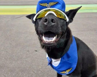 Blue Pilot Dog Bandana, Halloween Pilot Pet Costume, Air Force Airline Captain Uniform for Cats and Dogs, Pet Cosplay Costume Cute Pet Bibs
