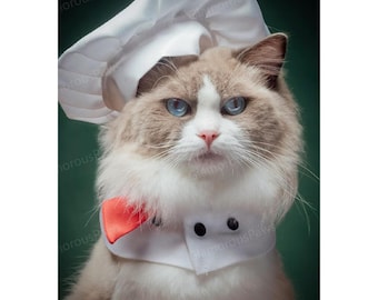 Cat Chef Bandana Bib with Chef Hat, Dog Chef Costume Pet Halloween Outfit, Cook Uniform for Cats and Dogs, Funny Costume Pet Cosplay Clothes