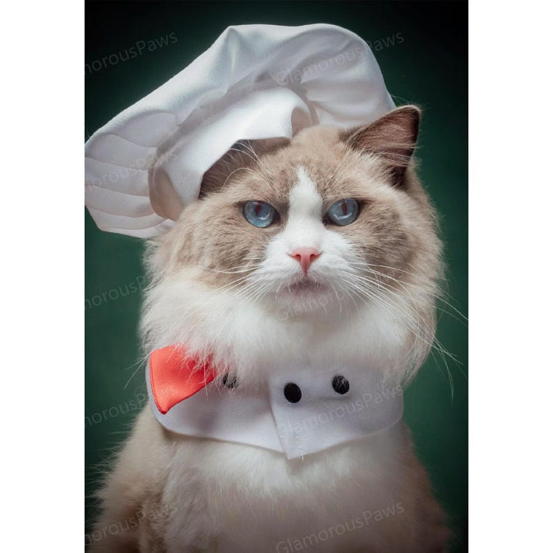 Cat Chef Bandana Bib with Chef Hat, Dog Chef Costume Pet Halloween Outfit, Cook Uniform for Cats and Dogs, Funny Costume Pet Cosplay Clothes image 1