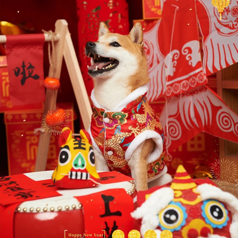 May include: A Shiba Inu dog wearing a red and gold Chinese New Year outfit with a dragon design. The dog is sitting in front of a red and gold drum with the Chinese character for "good fortune" written on it. The dog is surrounded by red and gold decorations, including a red lantern and a red and gold banner with the Chinese character for "prosperity" written on it. The dog is looking up and smiling. Happy New Year.