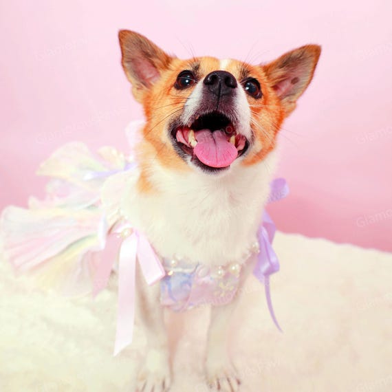 Disfraz de princesa sirena de Halloween para perros y gatos