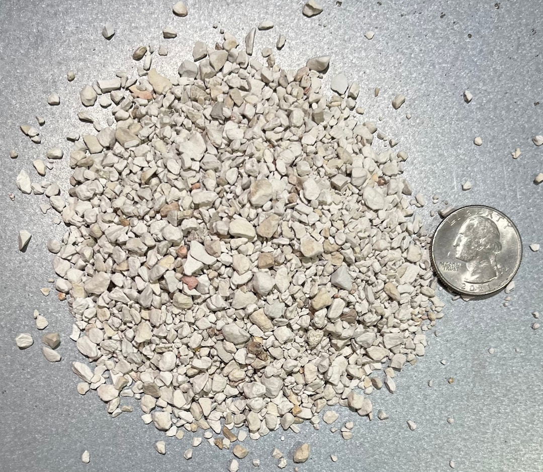 Granulated Diatomaceous Earth 1 Quart Etsy