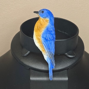 May include: A brooch shaped like an Eastern bluebird with a vibrant blue head, wings, and tail, featuring a warm orange-brown chest and a white underbelly. The bird is depicted in profile, showcasing detailed feather textures and a small black beak.