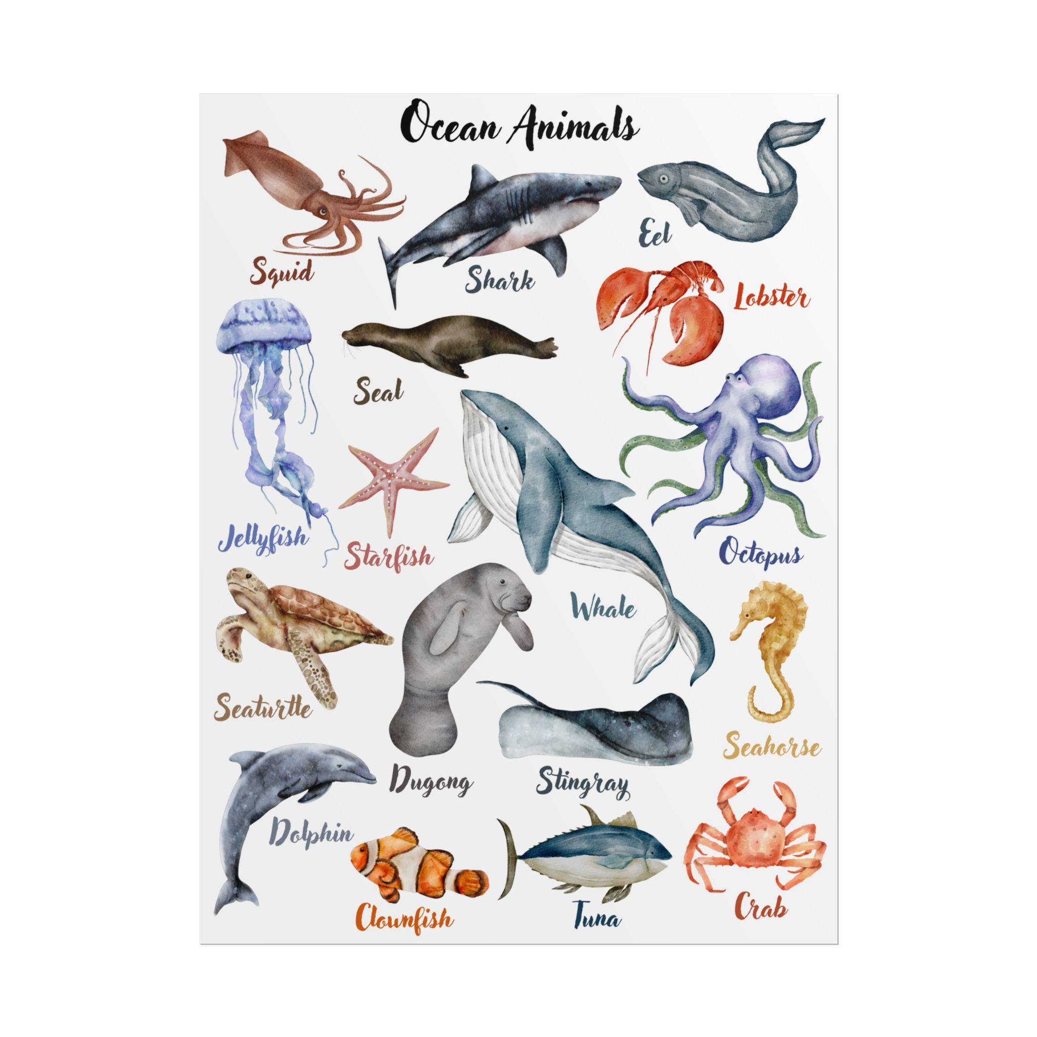 Printable Poster, Ocean Animals, Classroom Decor, Kids Room Wall Art, Nursery Poster, Educational Animal Chart