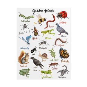 Póster enrollado, animales de jardín, decoración del aula, arte de pared para habitación de niños, póster para guardería, cuadro educativo de animales