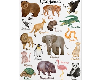 Rolled Poster, Wild Animals, Classroom Decor, Kids Room Wall Art, Nursery Poster, Educational Animal Chart
