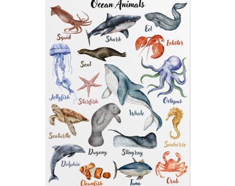 Rolled Poster, Ocean Animals, Classroom Decor, Kids Room Wall Art, Nursery Poster, Educational Animal Chart