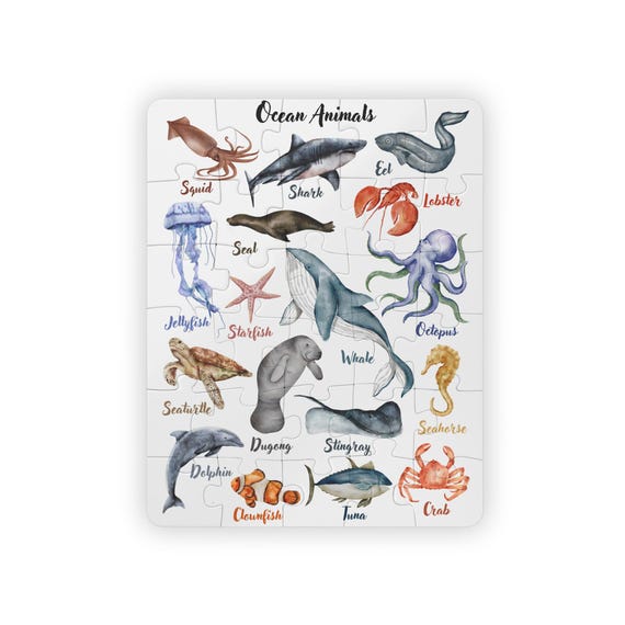 CY2SIDE Cartes à gratter animaux de l'océan – Kit de 63 cartes à gratter pour enfants, motif dauphin, tortue, pour enfants, fête d'anniversaire, cadeaux scolaires, activités scolaires