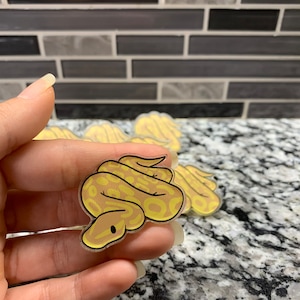 以下が含まれることがあります： 漫画のようなデザインの黄色と茶色のヘビのステッカー。ステッカーは透明で光沢のある仕上げです。