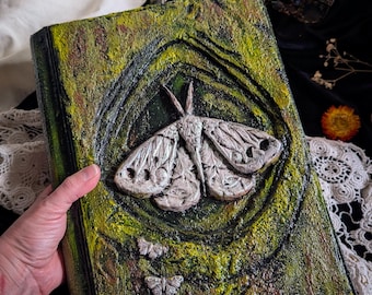 Libro de boticario de polillas como grimorio de bruja verde, decoración fantástica de bosque encantado