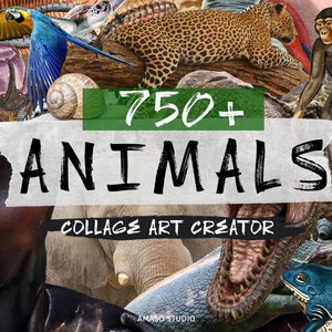 Animals Collage Creator, Over 750+ Elements High Resolution Artwork PNG Cut Out