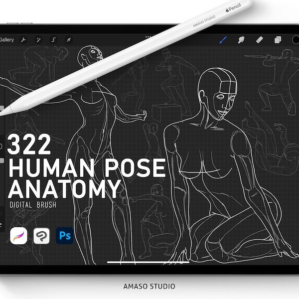 Body Poses Help Guide Bundle For Procreate, Photoshop Brush and Clip Studio Paint Brush