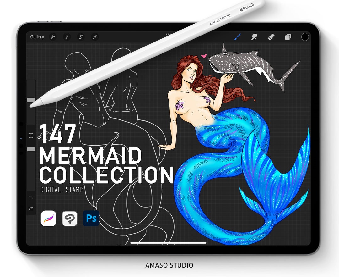 Mermaid Collections for Procreate, Photoshop Brush and Clip Studio ...