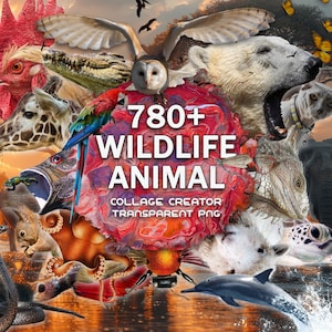 Puede incluir: Un collage vibrante que presenta una diversa variedad de animales salvajes, incluyendo un oso polar, un loro, un búho y un delfín. La imagen muestra el texto "780+ WILDLIFE ANIMAL" con "COLLAGE CREATOR TRANSPARENT PNG" debajo.