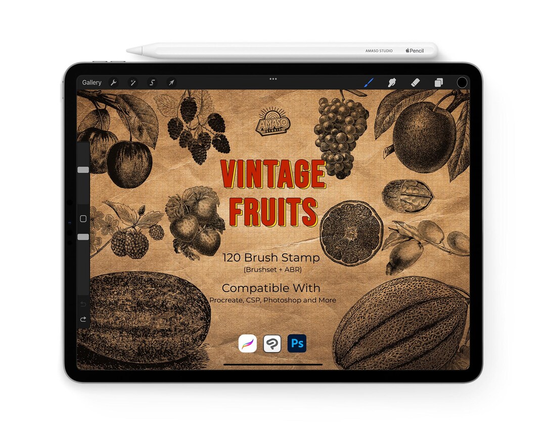Vintage Fruit Illustration Stamps | 120 Procreate & Photoshop Brushes ...