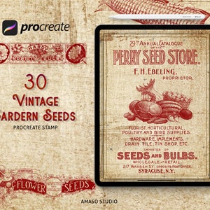 Vintage Garden Seeds Procreate Stamp, Garden and Seeds Illustrations for Procreate