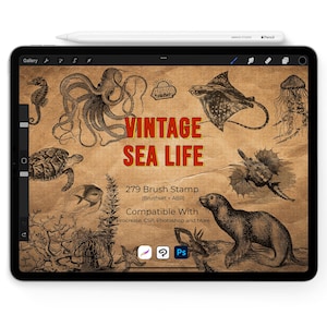 Sea Life Vintage Stamp Brush | 279 Retro Ocean Engraving for Procreate, Photoshop, Clip Studio Paint | Fish, Shells, Coral, Whale