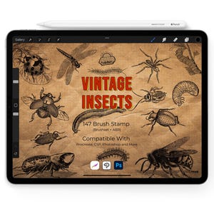 May include: An iPad displays a collection of vintage insect illustrations, including a dragonfly, spider, and beetle. The text "VINTAGE INSECTS" is prominently displayed, along with "147 Brush Stamp" and compatibility information for Procreate, CSP, and Photoshop.