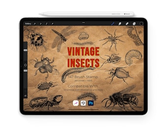 Vintage Insekten Stempel für Procreate | Entomologie Illustrations-Set | Kompatibel mit Photoshop, Clip Studio Paint, Affinity & mehr