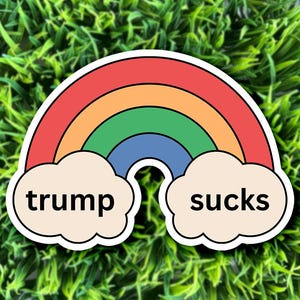 Trump Sucks / FDT liberal democrat vinyl matte sticker