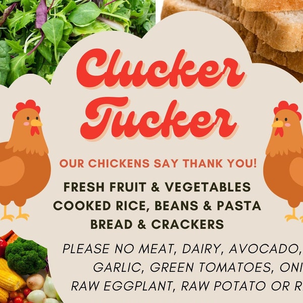 Chicken Scraps Bucket Etsy Canada