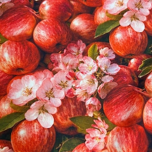 May include: A close-up of numerous red apples, complemented by clusters of pink and white apple blossoms and green foliage. The apples display a deep red hue with natural striping. The image evokes a sense of freshness and natural beauty, with a focus on the fruit and floral elements.