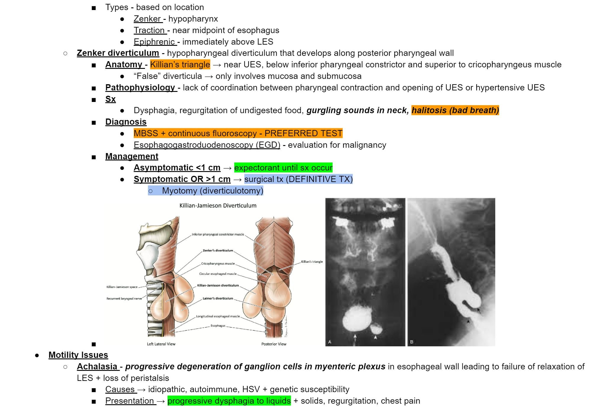 Internal Medicine EOR and Didactic Study Guide Etsy