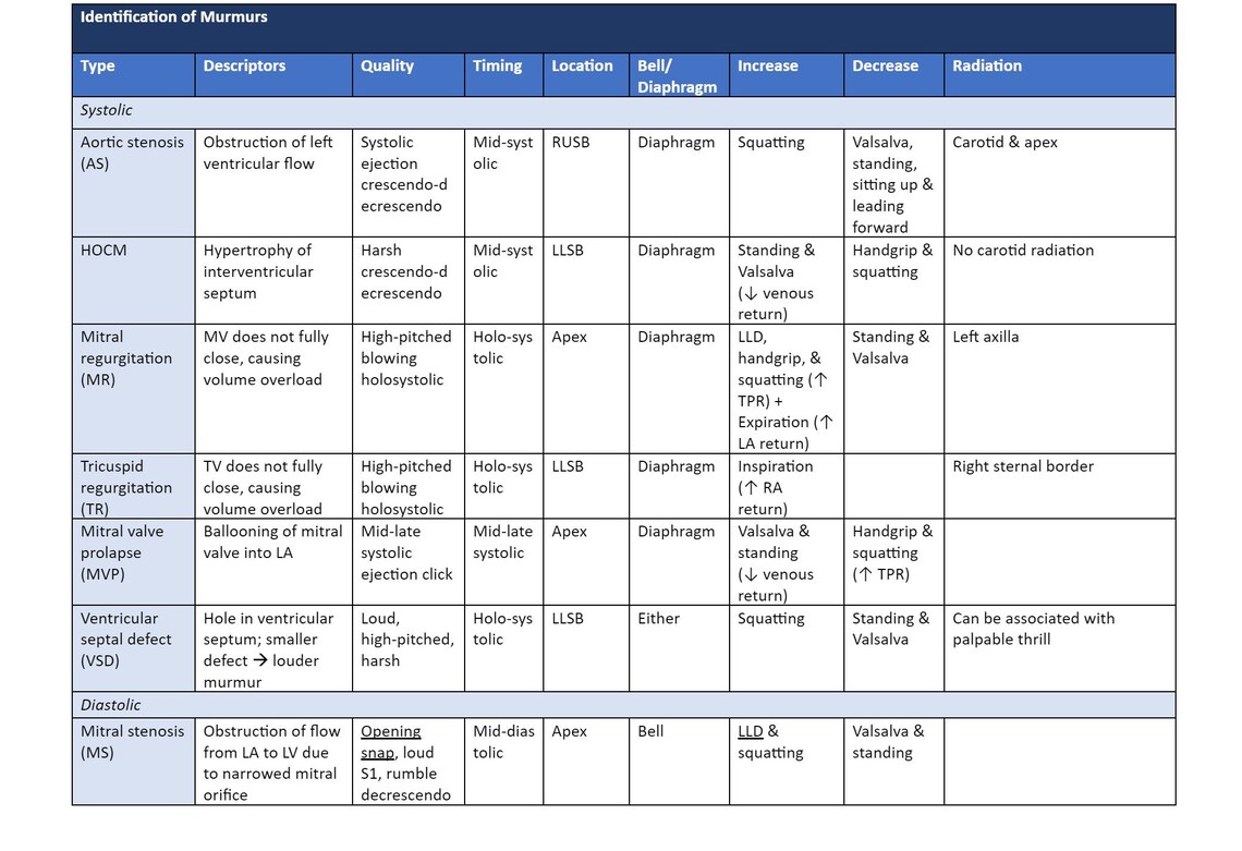 Internal Medicine EOR and Didactic Study Guide Etsy