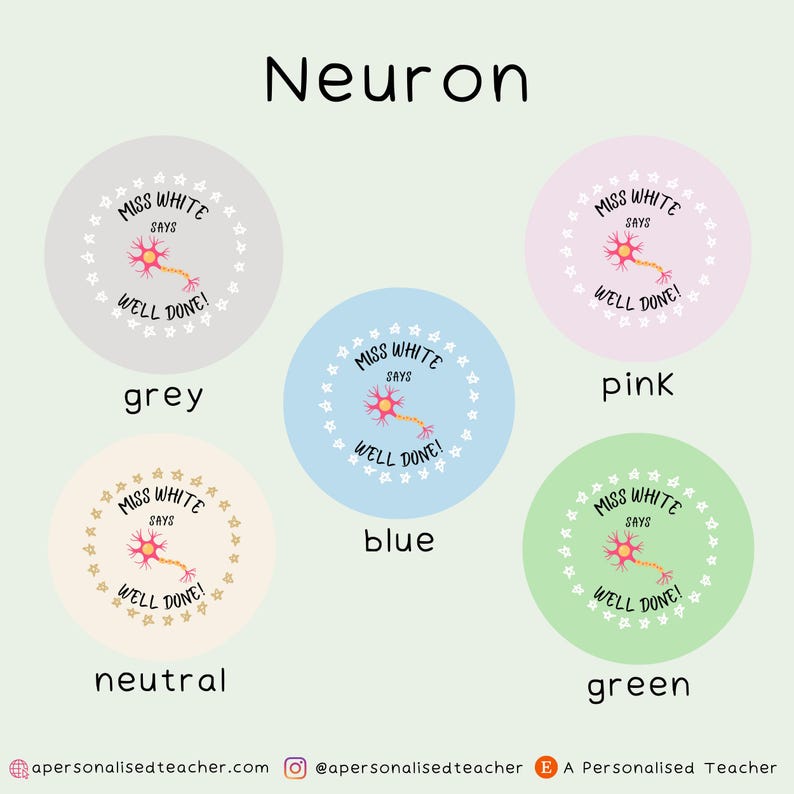 May include: Set of five round stickers with a neuron illustration and the text "Miss White Says Well Done!" in a circle of stars. The stickers are in grey, pink, blue, neutral, and green.